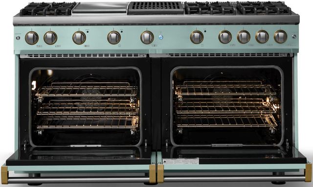 Viking® 5 Series 60" Splash Pro Style Gas (LP) Range with Brushed Brass Trim-1