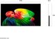 LG B6 Series 48'' 4K Ultra HD OLED AI Smart TV-1