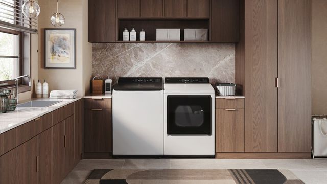 LG 5.5 Cu. Ft. Alpine White Top Load Washer-7
