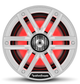 Rockford Fosgate® 6.5” Color Optix™ Marine 2-Way System-1