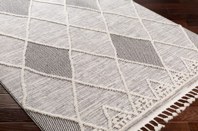 Surya Azilal Gray/White 4'x6' Area Rug-2