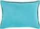 Surya Cotton Velvet Aqua 22"x22" Pillow Shell with Down Insert-1