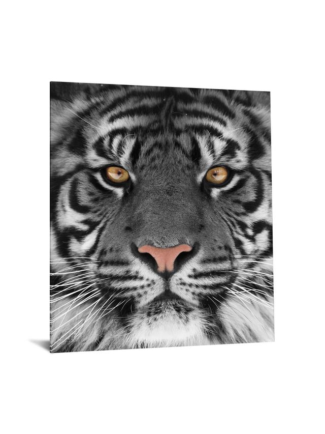 Classy Art Gray 40 x 60 Floating Tempered Glass with Foil-1