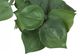 Monarch Specialties Inc. 2-Piece Grey 8" Tall Artificial Potted Alocasia-2