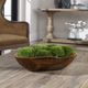 Uttermost® Kinsale Green/Natural Teak Moss Centerpiece-1