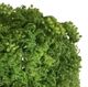 A & B Home Green 5" Water Grass Berry Ball-1