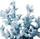 A & B Home Blue Faux Coral Decorative Object-2