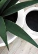 Le Present Lux Bell White 27" Planter-2
