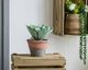 A & B Home Green Potted Plush Cactus-3