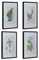 A & B Home 4-Piece Black/Green/White Fern Wall Art Set-0