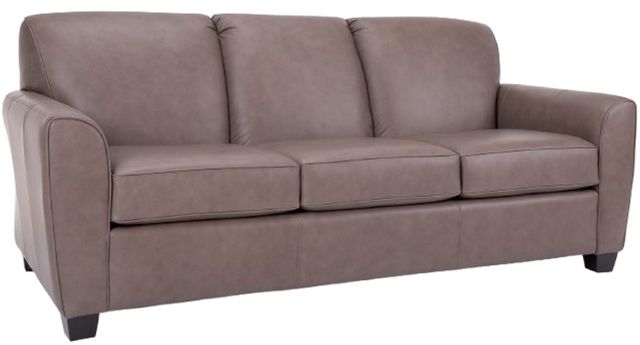 Decor-Rest® Furniture LTD Customizable 3404 Leather Queen Sleeper Sofa-0