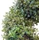 A & B Home Green 4' Artificial Spiral Boxwood Topiary-3