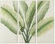 A & B Home Light Green Banana Leaves Triptych 3-Panel Wall Decor-0