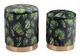 Zuo® Botanical Green Ottoman Storage Set-0