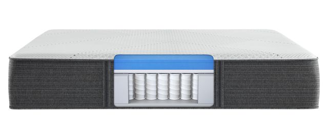 Beautyrest® Hybrid BRX1000-IP™ 13.5" Medium Tight Top Queen Mattress-2