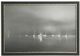 Stylecraft Black/Gray/White Wall Art-0