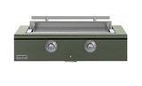 Olive, Stainless Steel