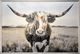 Classy Living Contemplative Western Longhorn Mixed Media Art Wall Art-0