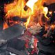 Big Green Egg® 100% Natural Canadian Maple Charcoal-1