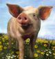 Crestview Collection Pig Out Multi-Color Wall Art-1