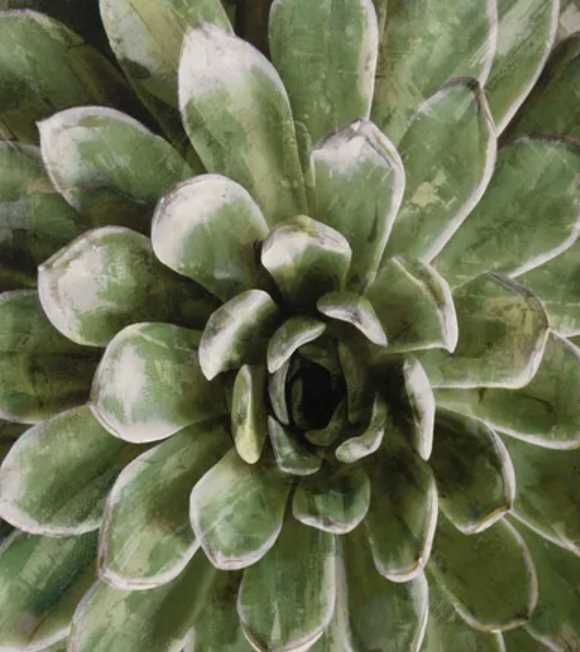 Stylecraft Succulent Verde II Brown/Green Wall Art-1