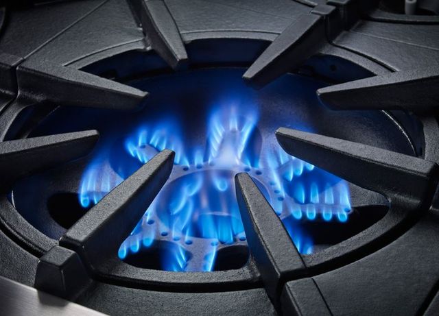 BlueStar® Platinum Series 30" Stainless Steel Liquid Propane Gas Rangetop-2