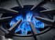 BlueStar® Platinum Series 30" Stainless Steel Liquid Propane Gas Rangetop-2