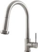ZLINE Monet Brushed Nickel Pull Down Single Handle Kitchen Faucet-1