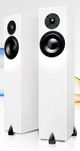 Totem Acoustics High-Fidelity Floor Standing Speaker-3