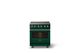 Viking® 5 Series 30" Ivy Pro Style Induction Range with Brushed Brass Trim-3