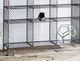 A & B Home Silver Shelf-1