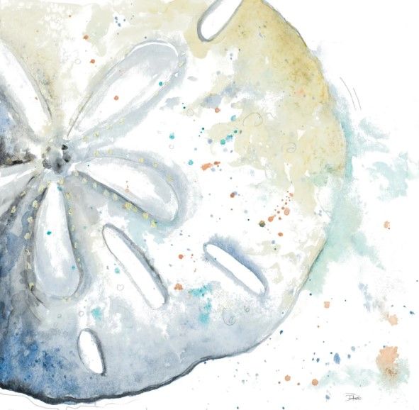 Classy Art Water Sand Dollar by Patricia Pinto Wall Art-1