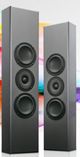 Totem Acoustics High-Fidelity In-Wall Speaker-1