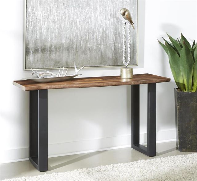 Coast2Coast Home™ Bozeman Brown Console Table with Black Base-1