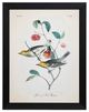 StyleCraft Vintage Warbler IV Wall Art-0