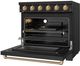 Thor Kitchen® Gordon Ramsay 36" Black/Bronze Freestanding Pro Style Electric Range-4