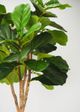 Le Present Green 72" Faux Botanical Fiddle Leaf Fig-2