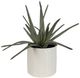Uttermost® Taos Green/Ivory Aloe Centerpiece-2