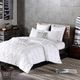Olliix by INK+IVY White Jane Embroidered Euro Sham-1