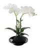 A & B Home White Real Touch Orchid with Ceramic Dish-0