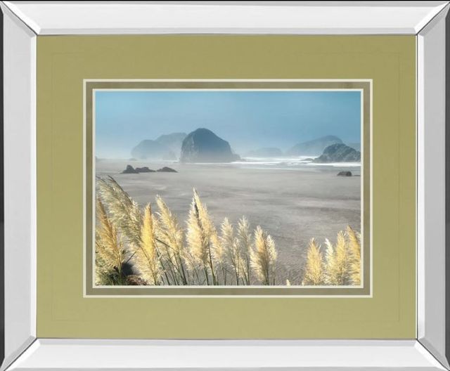 Classy Art Pompas Beach by Frates Mirror Framed Wall Art-0