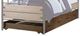 ACME Furniture Adams Antique Oak Twin Trundle-0
