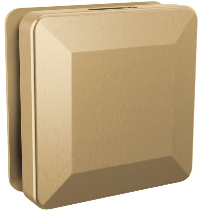 Delta Steam System Lumicoat® Champagne Bronze Square Steam Head-0