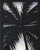 StyleCraft Perfect Palm II Beige/Black/White Framed Wall Art-2