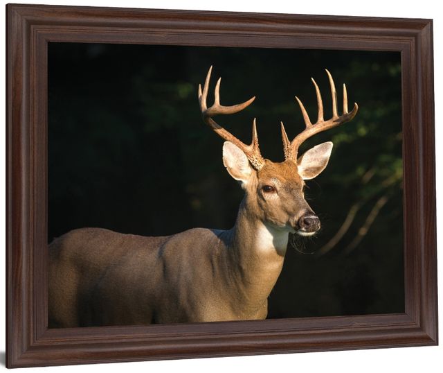 Classy Living Forest Sentinel Wall Art-2