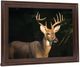 Classy Living Forest Sentinel Wall Art-2