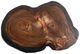 International Furniture Direct Parota Epoxy Brown Cocktail Table with Black Base-2