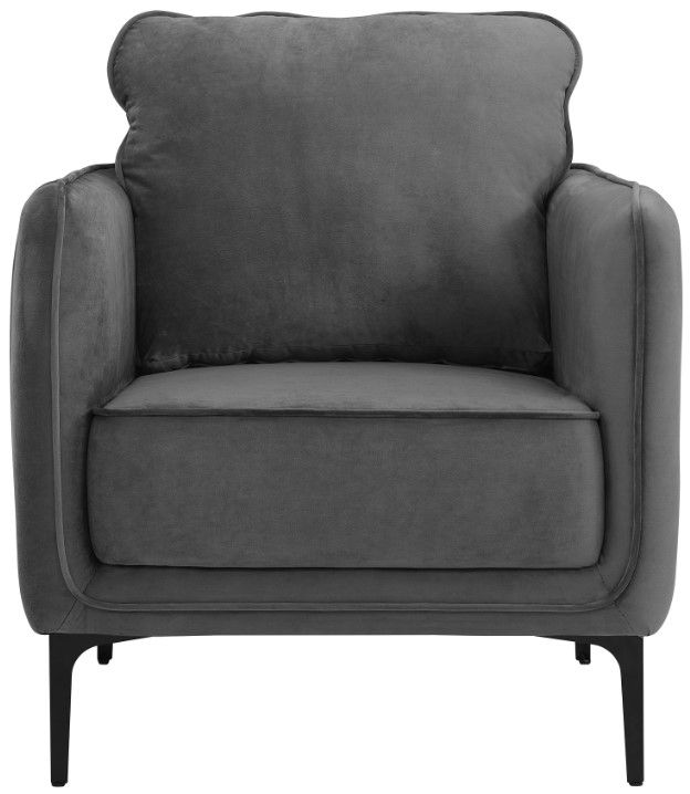 Elements International Rae Gray Velvet Accent Chair-3