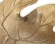 A & B Home Brass Long Leaf Tray-4