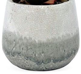 Uttermost® Veranda Aged White/Blue Gray Indoor-Outdoor Aloe Accent-1